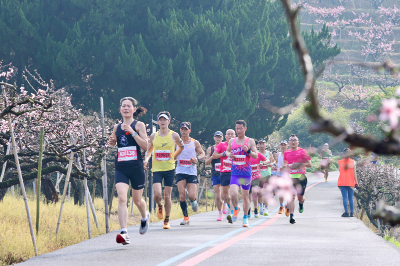 參賽選手奔跑在萬畝桃林中。賀元凱攝