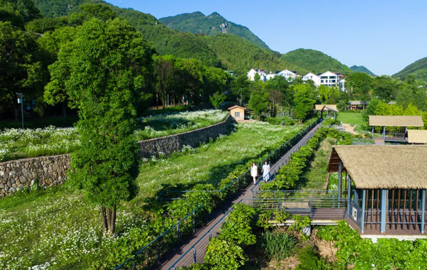 入夏首日，婺城這個(gè)地方有點(diǎn)浪漫！